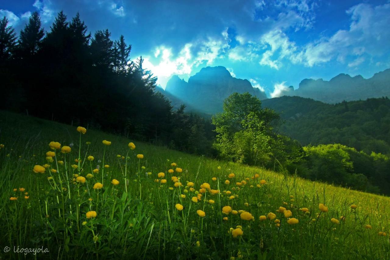 Les Chalets De Pre Clos En Vercors Saint-Andéol Kültér fotó